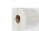 [LMDST1002] Shipping Label- FSC/CPTKT38ND- CPTKT38ND 100x174 DT 330LPR 38mm Perf No B&F Cuts