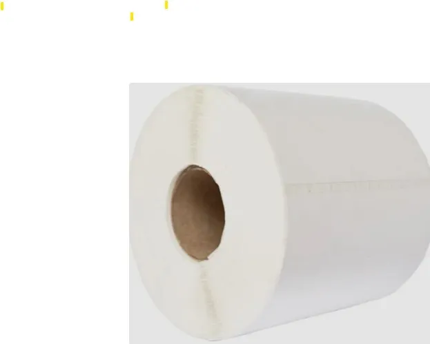 [LMDST1001] Shipping Label-DT Perm 500LPR 25mm with Perforation- 101x149MM